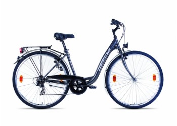 Bicicleta Gepida Berig 100  2015