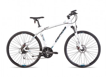 Bicicleta Gepida Alboin 300 PRO CRS 2014