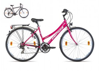 Bicicleta Gepida Alboin 100 2014