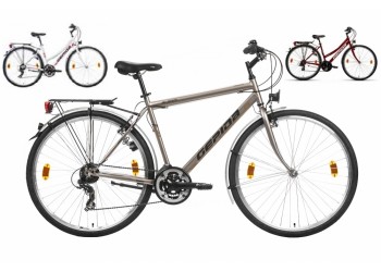 Bicicleta Gepida Alboin 100 2015